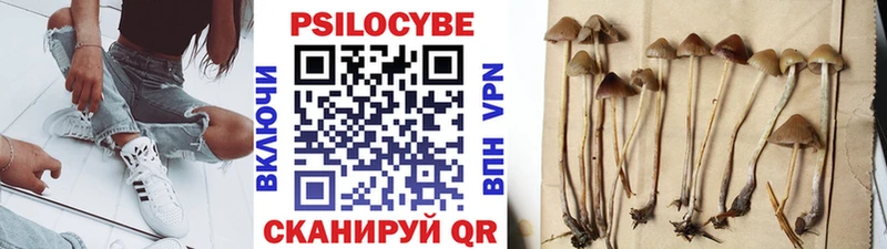 Галлюциногенные грибы прущие грибы  купить наркотики сайты  Щёкино 